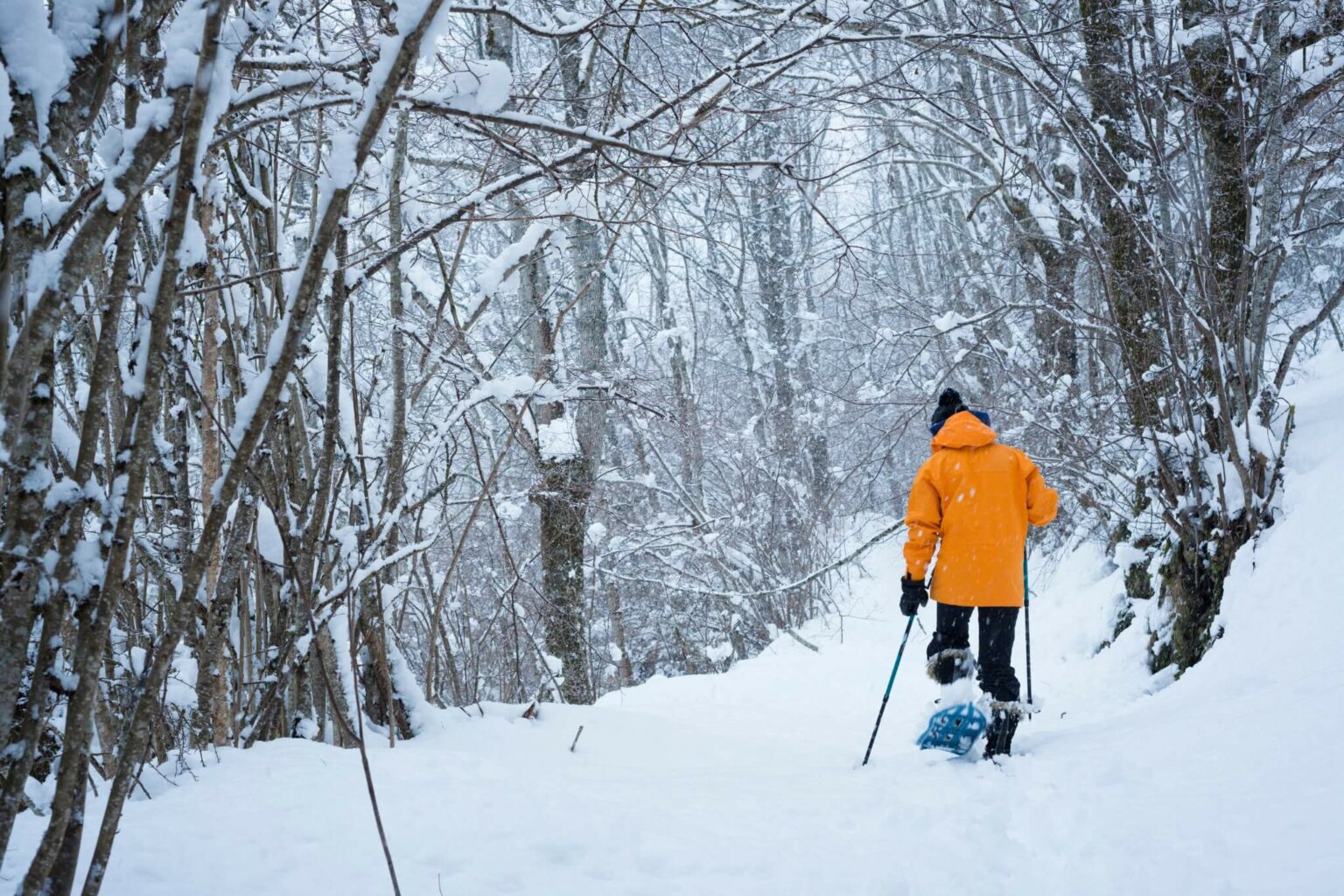 Een sneeuwschoen-wandeling maken in Lapland: dit moet je weten