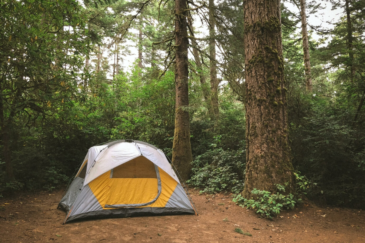 Tips voor het kopen van een backpacking tent