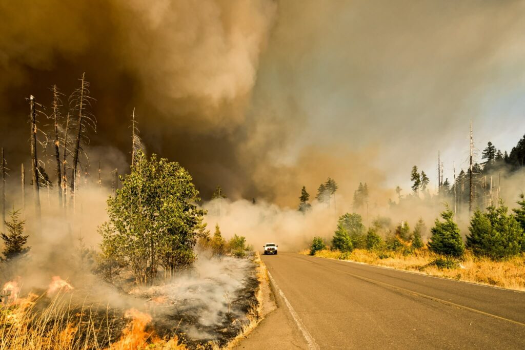 Ontstaan bosbranden door klimaatverandering?