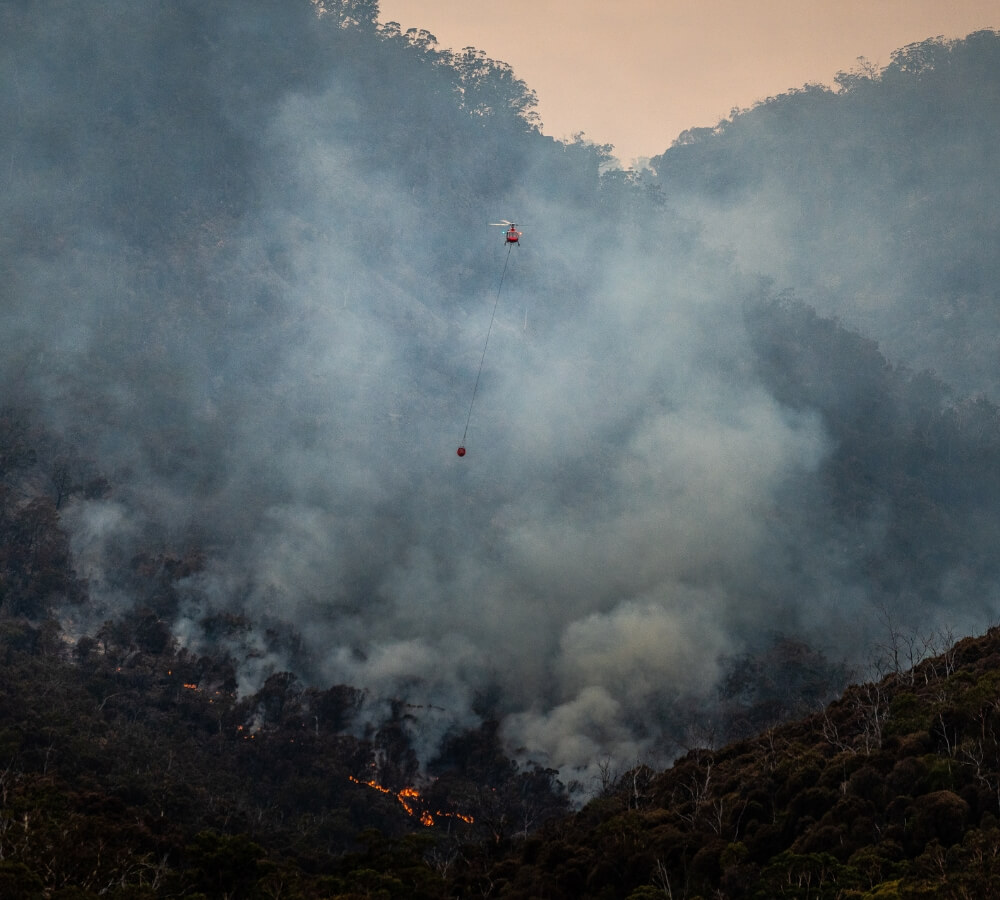 Ontstaan bosbranden door klimaatverandering?