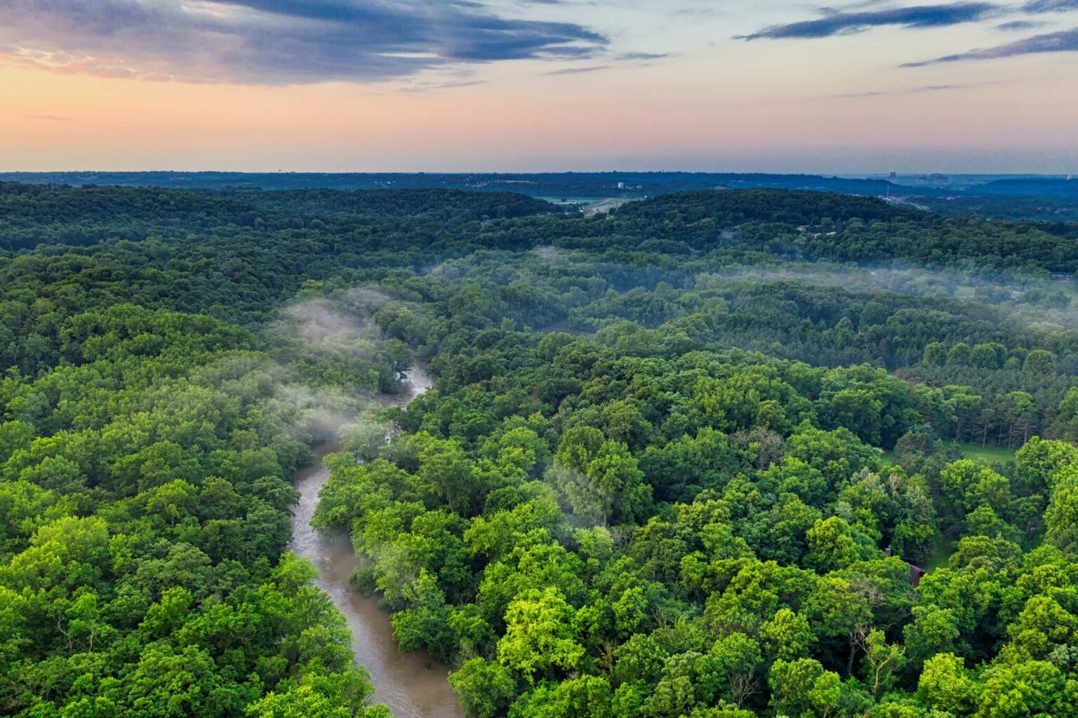 Waarom is het Amazonegebied belangrijk op aarde?