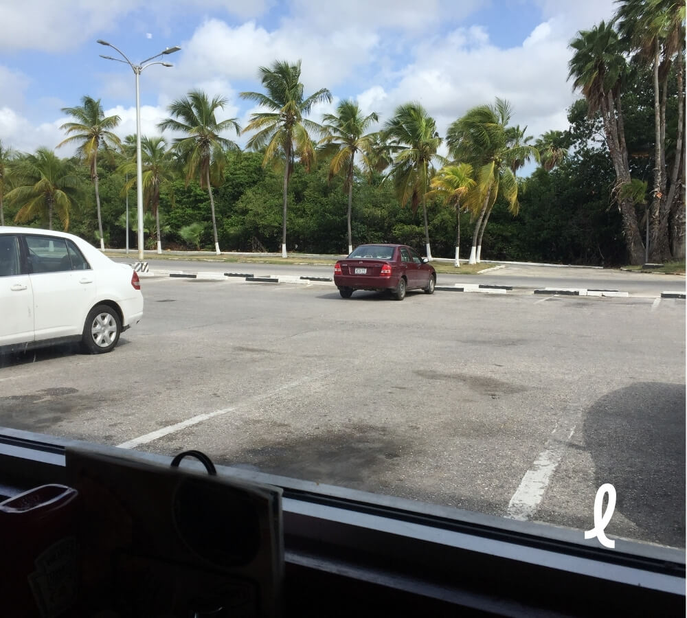 Rijgedrag op Curaçao